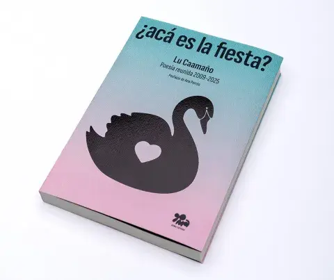 Lu Caamaño autora poeta Lu Caamaño autora poeta