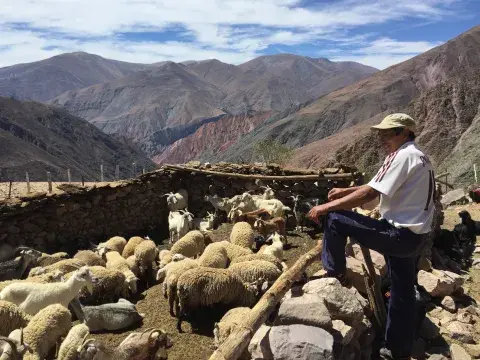 Manto: la marca argentina que busca preservar los tejidos ancestrales del norte