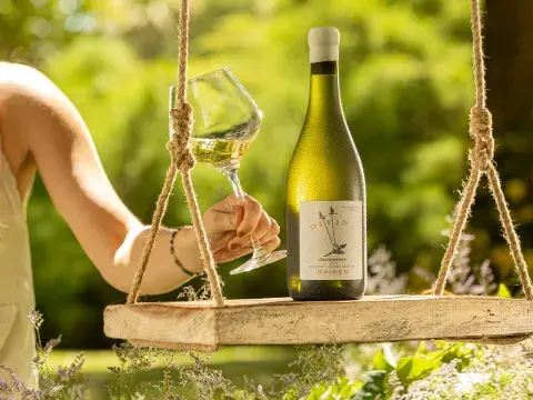vino blanco vino blanco