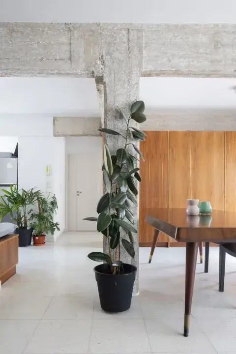 monoambiente pocos metros revista living