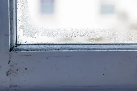 Humedad en ventana. Humedad en ventana.