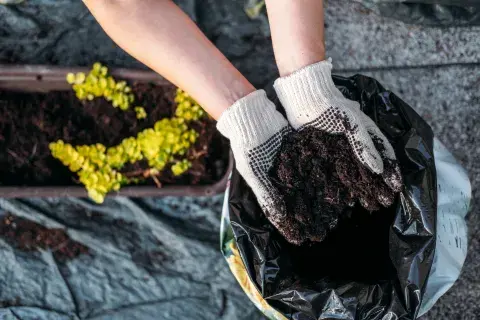 Cómo preparar el jardín o el balcón para la primavera: las tareas que hacen la diferencia Cómo preparar el jardín o el balcón para la primavera: las tareas que hacen la diferencia