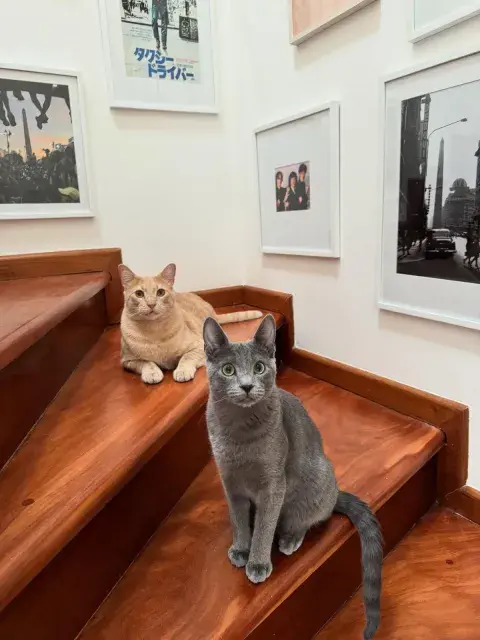La casa de Lali con sus mascotas.