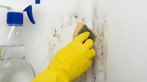 Mano limpiando humedad en pared. Mano limpiando humedad en pared.