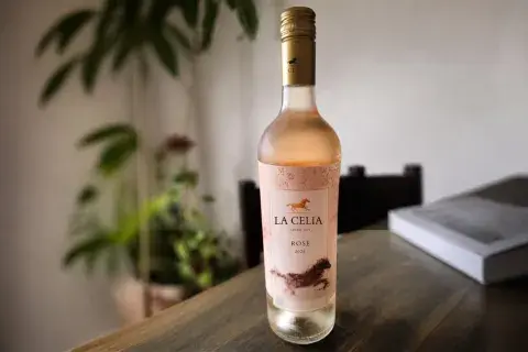 vino rosado vino rosado
