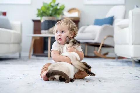 la llegada de un bebe a la casa la llegada de un bebe a la casa