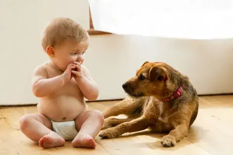 la llegada de un bebe a la casa la llegada de un bebe a la casa