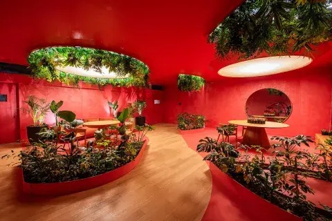 Colour Drenching: la nueva tendencia simple y elegante que es ideal para decorar paredes