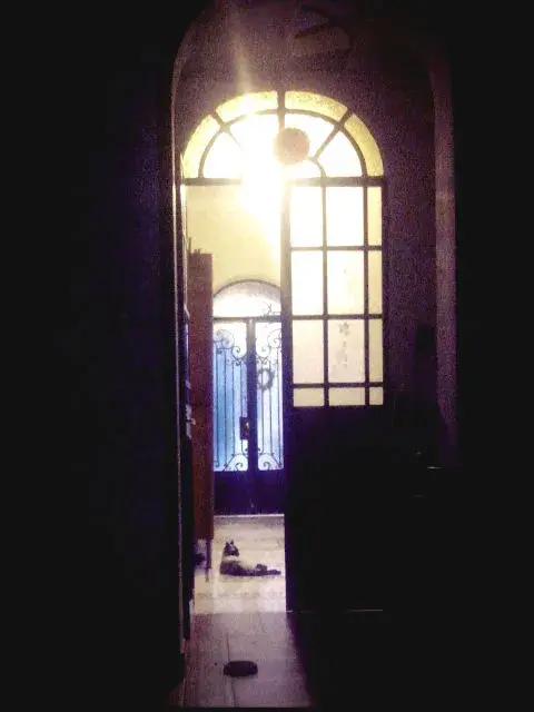Armonía a la distancia. Armonía a la distancia.