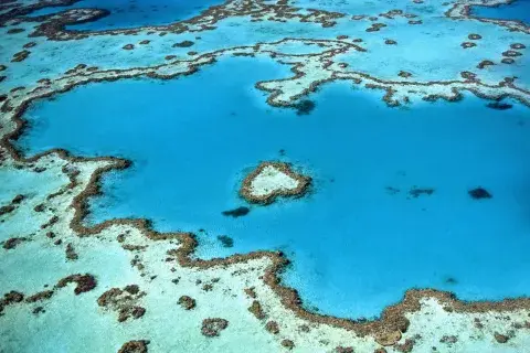 Las barreras de coral sólo representan el 1 por ciento del lecho marino, y sin embargo son fundamentales para los ecosistemas oceánicos Las barreras de coral sólo representan el 1 por ciento del lecho marino, y sin embargo son fundamentales para los ecosistemas oceánicos