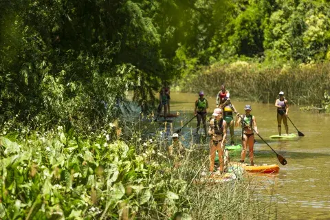 El Tigre es un lugar de relax muy cerca de la ciudad de Buenos Aires. El Tigre es un lugar de relax muy cerca de la ciudad de Buenos Aires.