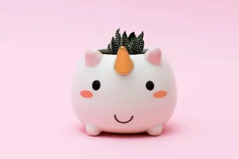 Maceta con forma de unicornio (Gorsh, $265) 