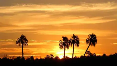 ¿Ya conocés El Palmar? Uno de los paisajes más característicos de la mesopotamia que podés recorrer en bici ¿Ya conocés El Palmar? Uno de los paisajes más característicos de la mesopotamia que podés recorrer en bici
