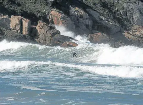 Los surfistas son, desde siempre, el público más fiel de Rosa