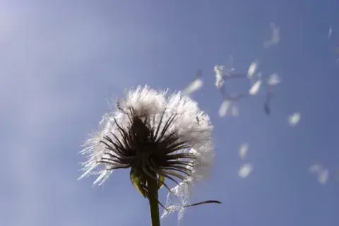 57FNGAGJWBCBTAG2OICE3NXRF4.jpg 57FNGAGJWBCBTAG2OICE3NXRF4.jpg