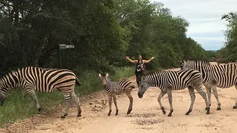 Sudáfrica: un paseo por el lado salvaje Sudáfrica: un paseo por el lado salvaje