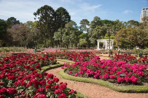 El Rosedal de Palermo alberga unas 8000 plantas de rosas de distintas variedades. El Rosedal de Palermo alberga unas 8000 plantas de rosas de distintas variedades.