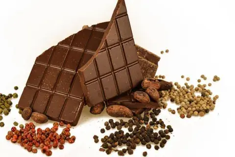 Los chocolates con especias, bien perfumados de CocoaBit Los chocolates con especias, bien perfumados de CocoaBit