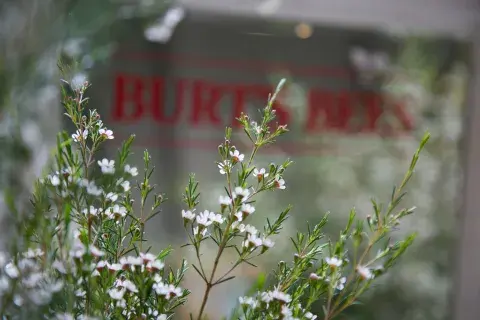 Burt´s Bees es la marca líder en cuidado natural y eco-amigable de la salud y la belleza Burt´s Bees es la marca líder en cuidado natural y eco-amigable de la salud y la belleza