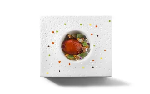 Huevo Espacial. Foto: Gentileza Arzak Huevo Espacial. Foto: Gentileza Arzak