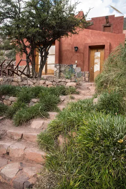 Revista Jardín Revista Jardín