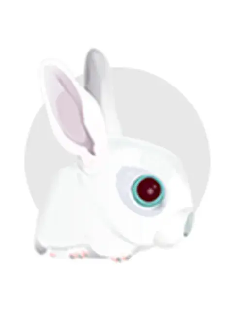 7T6VIY5FUNAIHN35VZ43F6UR6I.jpg 7T6VIY5FUNAIHN35VZ43F6UR6I.jpg