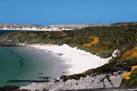 El paisaje de las islas es muy parecido al patagónico. El paisaje de las islas es muy parecido al patagónico.