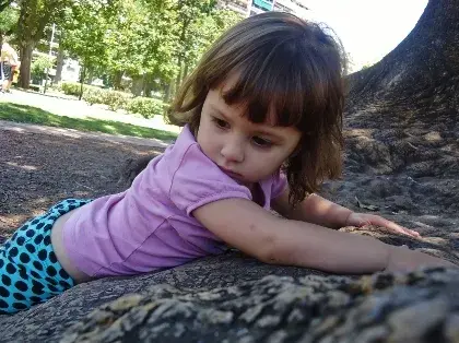 Árbol abrazame Árbol abrazame