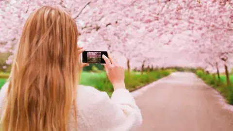 Ahora tomar una buena fotografía está al alcance de cualquier persona con un smartphone Ahora tomar una buena fotografía está al alcance de cualquier persona con un smartphone