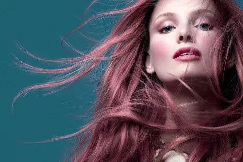 Rosa, el gran protagonista de la temporada Rosa, el gran protagonista de la temporada