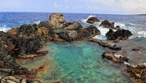 Natural Pool