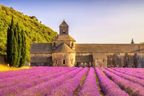 Esta ciudad francesa tiene de todo para recorrer y una ciudad potente.