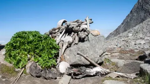 Los esqueletos del lago Roopkund Los esqueletos del lago Roopkund