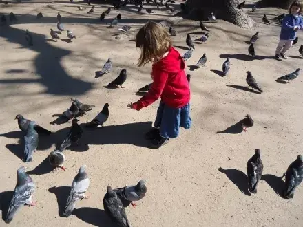 Parece una viejita dándole el maíz a las palomas