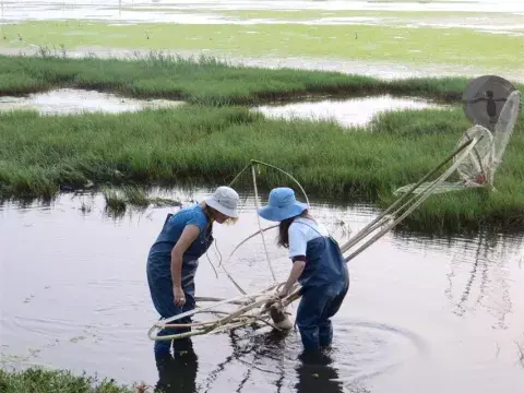 Un pantano en Taiwán: meta de la escultora Aranovich Un pantano en Taiwán: meta de la escultora Aranovich