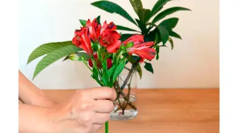 Cortá los tallos de las flores, uno por uno según la medida del florero y después ubicá las flores de acuerdo al dise?o elegido (Paso 5) Cortá los tallos de las flores, uno por uno según la medida del florero y después ubicá las flores de acuerdo al dise?o elegido (Paso 5)