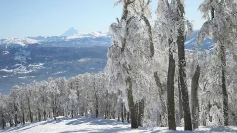 Cerro Chapelco
