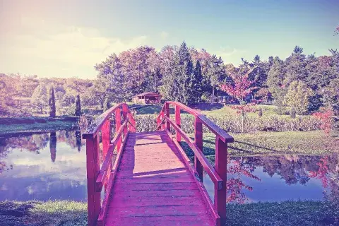 Ikigai, el secreto para una vida larga y feliz. Foto: Latin Stock Ikigai, el secreto para una vida larga y feliz. Foto: Latin Stock