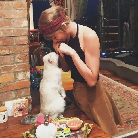 Olivia se para en dos patitas y su dueña la llama "el gato suricata".