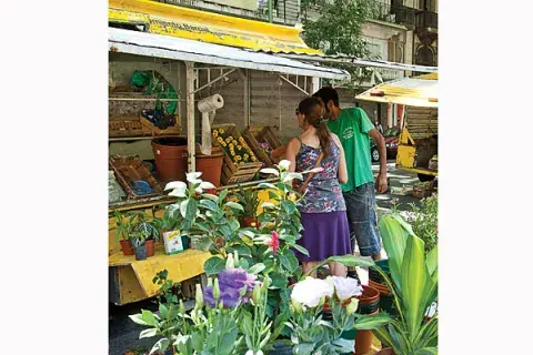 A puro color: los carritos llenan la Plaza Almagro