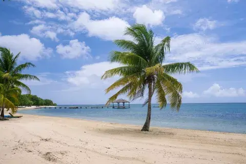 Palmeto Beach, Roatán