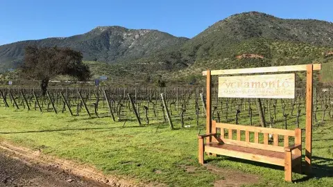 Veramonte se caracteriza por realizar una producción orgánica de vinos Veramonte se caracteriza por realizar una producción orgánica de vinos