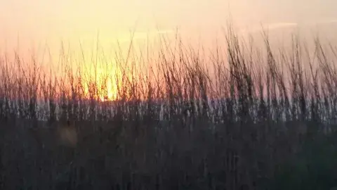 Atardecer cordobés. Atardecer cordobés.