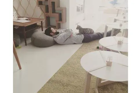 HMMHOBMI4NFI7IU6HZTTAMMHFE.jpg HMMHOBMI4NFI7IU6HZTTAMMHFE.jpg