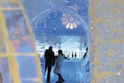 Bar de hielo Bar de hielo