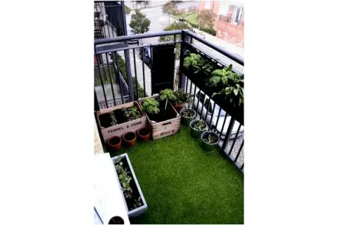 También podés reciclar los cajones de verduras y hacer una huerta orgánica También podés reciclar los cajones de verduras y hacer una huerta orgánica