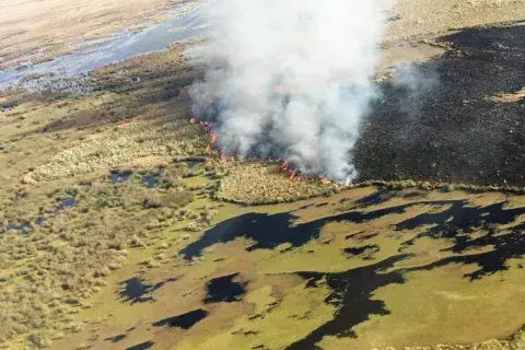 El Delta del Paraná es de las zonas más ricas del país en humedales y está siendo arrasado por el fuego. El Delta del Paraná es de las zonas más ricas del país en humedales y está siendo arrasado por el fuego.