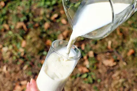 La leche orgánica es una opción más saludable