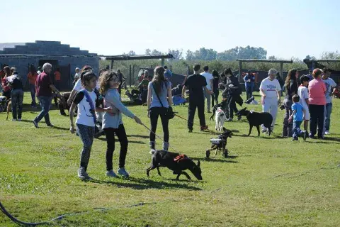 Pueden visitar El Campito y ofrecer sus servicios como voluntarios.
