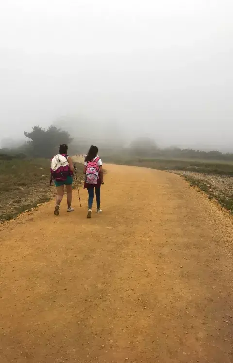 Justo a la mitad del camino, el sendero se vuelve amarillo, como una epifanía del Mago de Oz. Justo a la mitad del camino, el sendero se vuelve amarillo, como una epifanía del Mago de Oz.